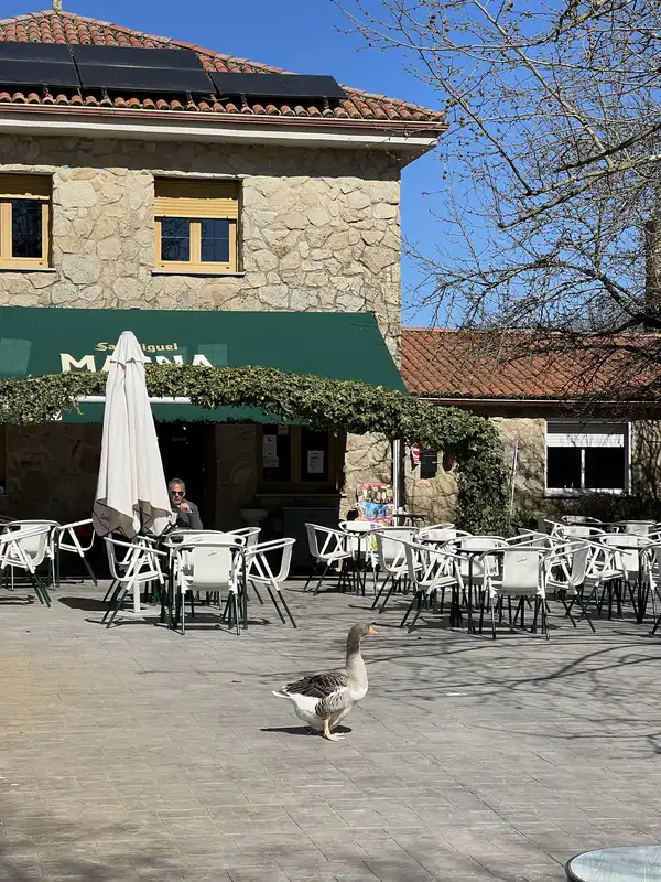 Una plaza soleada durante el camino