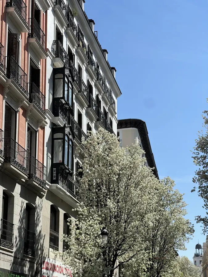Balcones y árboles florecidos bajo el cielo de Madrid